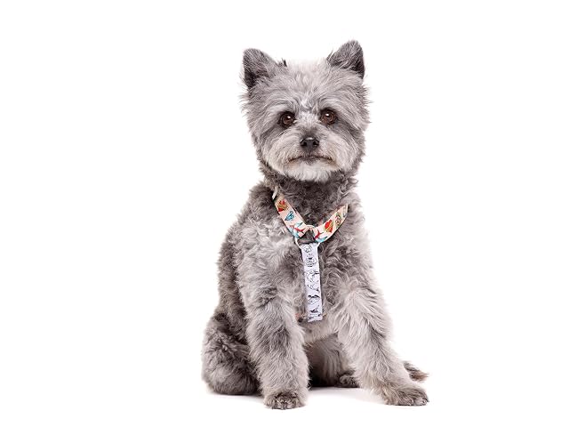 Foto 2 de 3 de DUKIER - Arnés Clásico para Perros, Ajustable, Resistente, Accesorio Mascotas, contra Tirones, Tattoo, Talla L