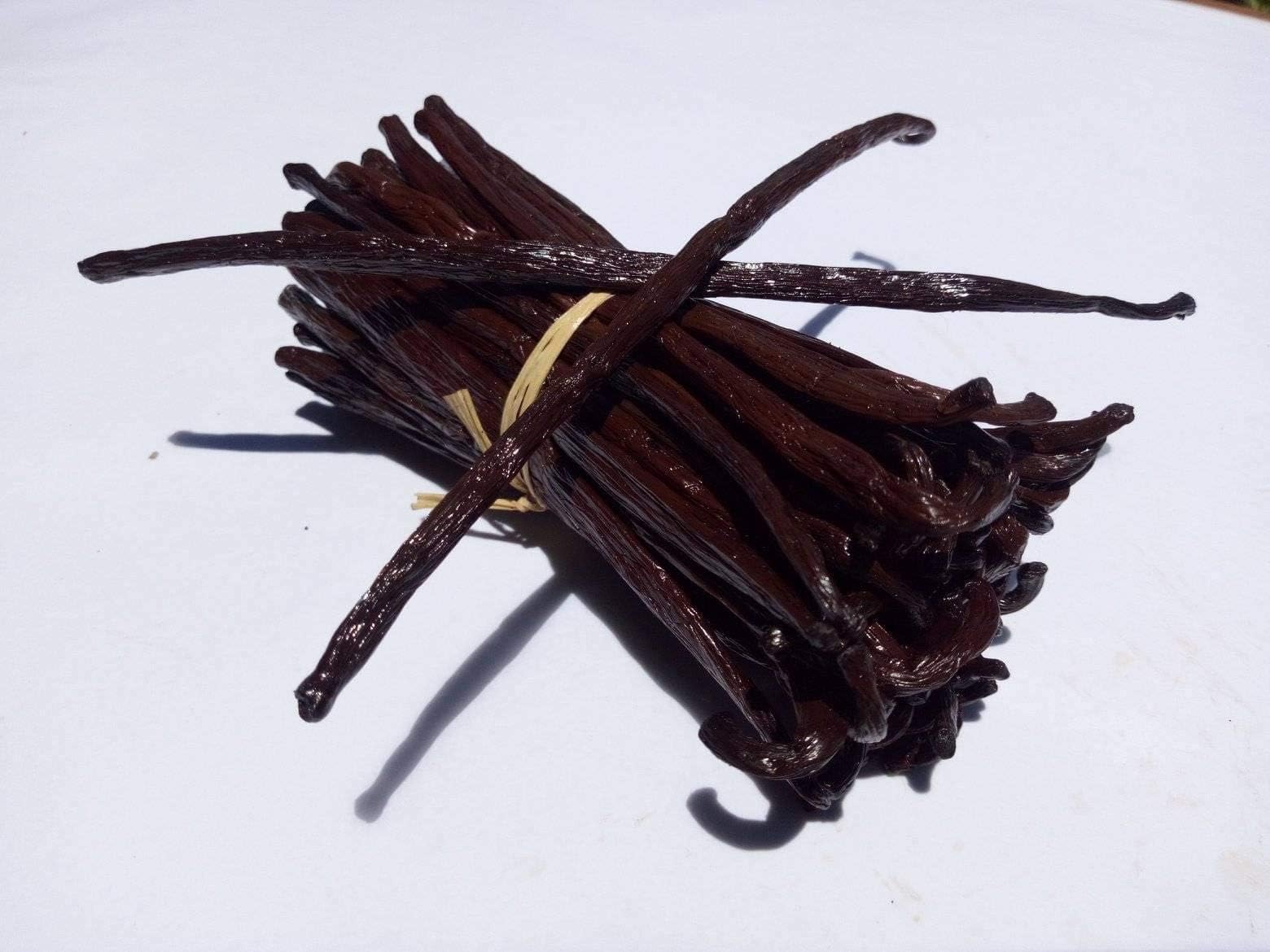 6 Ugandan Gourmet Vanilla Beans - Whole Extract Grade A Pods for Baking, Homemade Extract, Brewing, Cooking