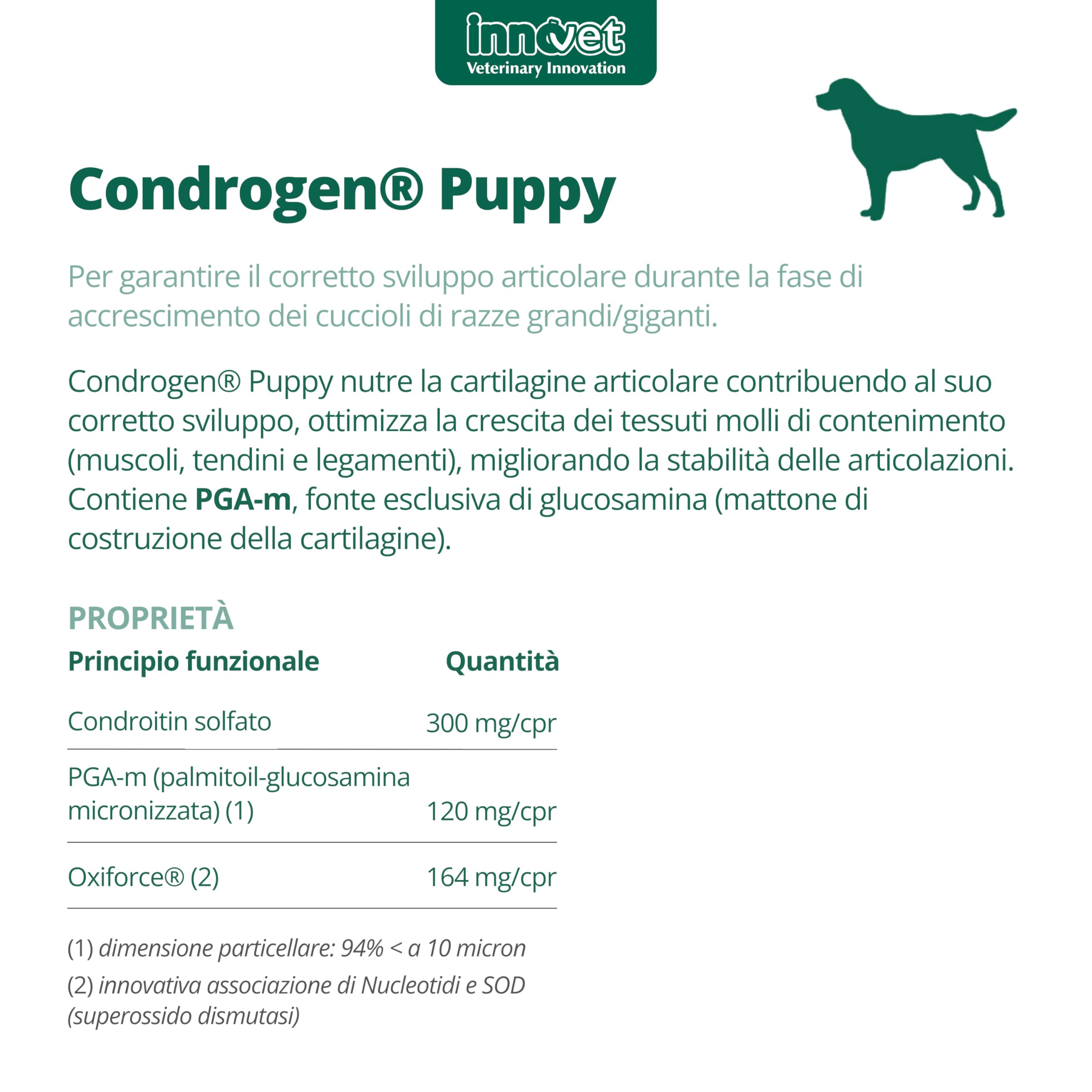 Innovet, Condrogen Puppy, per Articolazioni dei Cuccioli, Aiuta lo Sviluppo Muscolo-Scheletrico, per Cuccioli di Taglia Grande, con PGA-m e Condroitin, 90 Compresse Masticabili