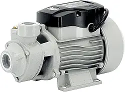 Razi Bomba Periférica 1 2CV 220V – Potência na Medida e Ideal para Uso Residencial ou Comercial