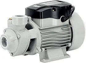 Razi Bomba Periférica 1 2CV 220V – Potência na Medida e Ideal para Uso Residencial ou Comercial