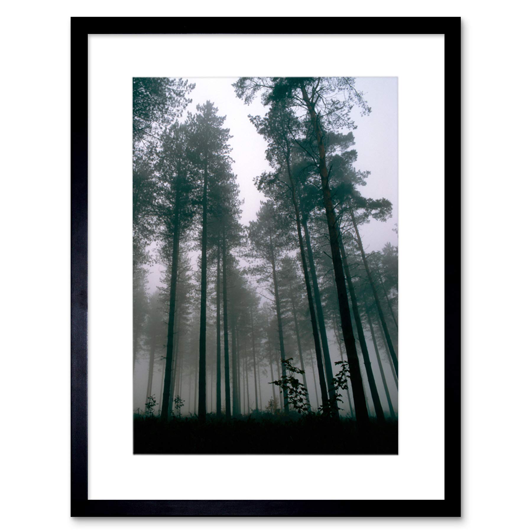 Wee Blue CooThetford Forest Trees Mist Art Framed Wall Art Print