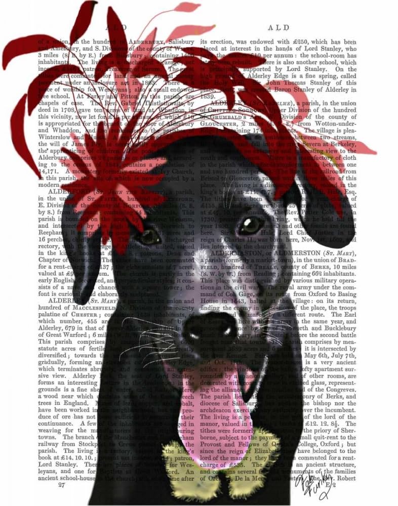 Black Labrador With Red Fascinator Poster Print - Funky Fab (24 x 36)