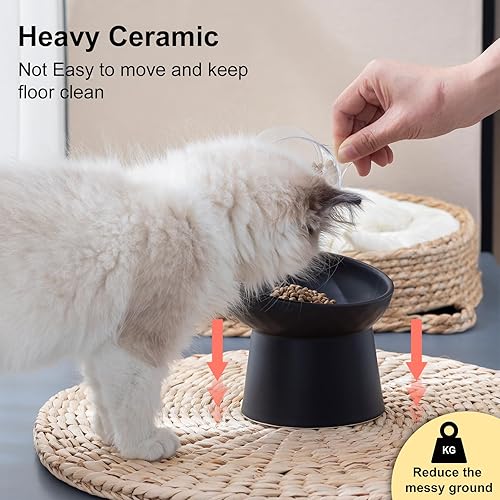 Miniatura 5 de Cuencos elevados de cerámica para gatos, juego de cuencos elevados inclinados para comida y agua, plato de alimentación de mascotas sin estrés para