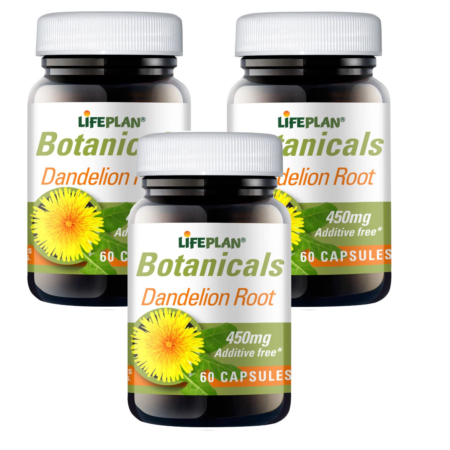 LIFEPLAN Dandelion Root 60caps (Pack of 3)