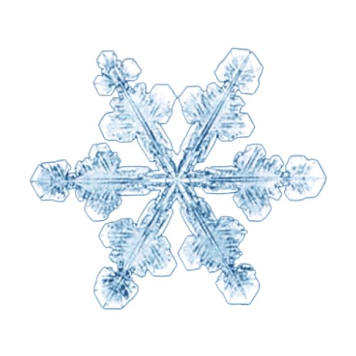 Frost Alert