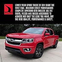 Vista 2 de Belltech 999SP Kit de bajada con amortiguador de rendimiento urbano