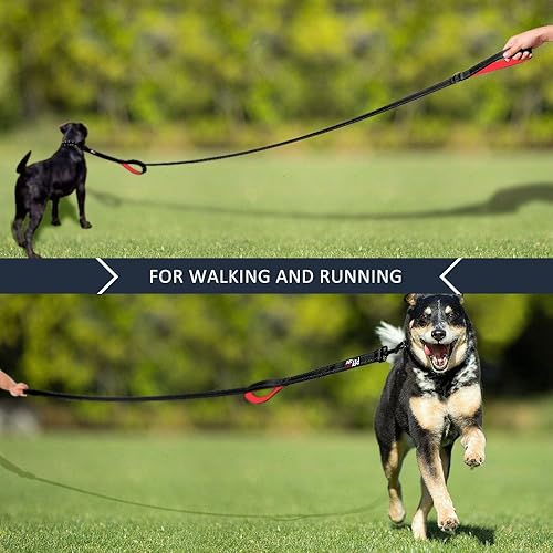 Miniatura 6 de Plutus Pet Correa para perro de 6 pies de largo, acolchada con 2 asas, resistente, correa de entrenamiento reflectante para perros medianos y