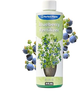 Liquid Blueberry Fertilizer by Perfect Plants | Berry Booster | Premium Fertilizer for Blueberries and Other Acidic Soil Fruiting Plants 8 fl oz
