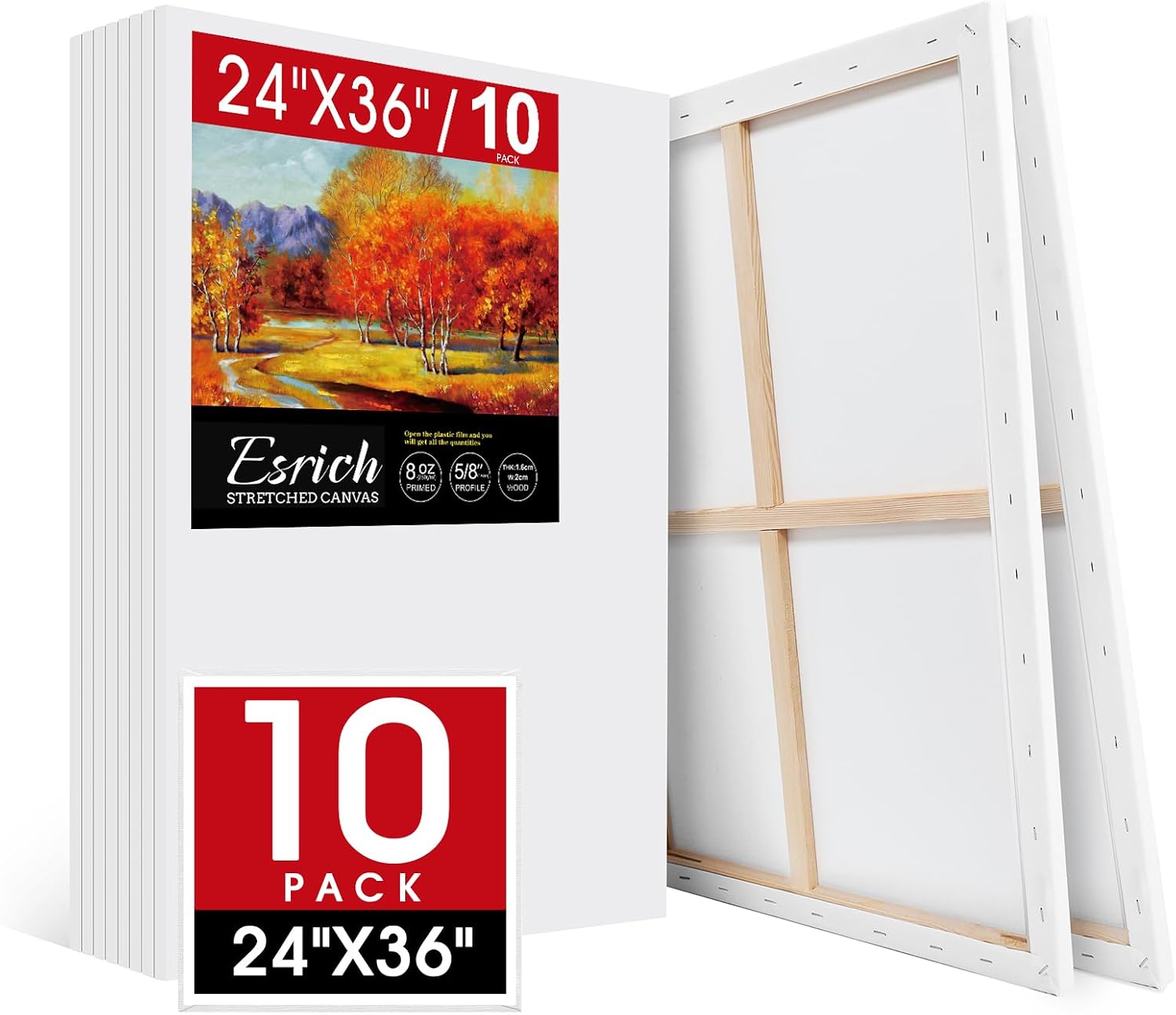 ESRICH Stretched Canvas for Painting 24x36 Inch, 10Pack Large Canvas for Painting, Primed Acid-Free Cotton Blank Canvases, Art Paint Canvases for Oil Paint, Acrylic Paint,Gouache and Tempera.