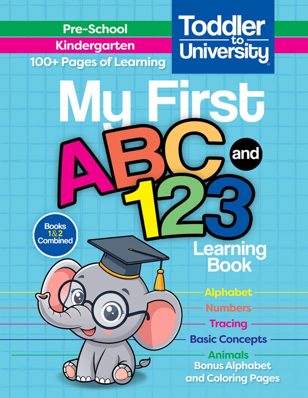 My First ABC & 123 Learning Book