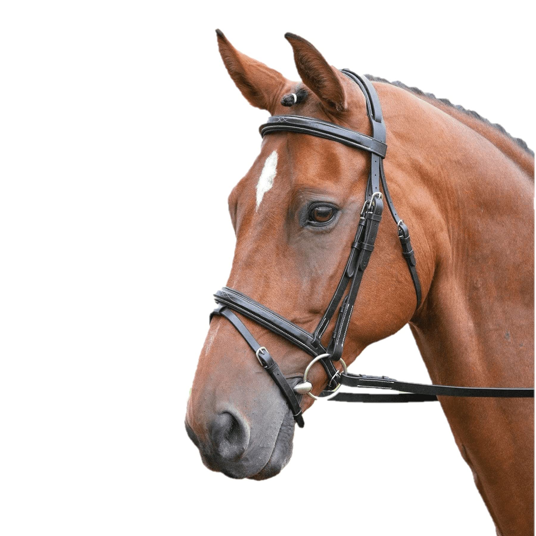 Shires Salisbury Bodenham Flash Bridle-Black Full