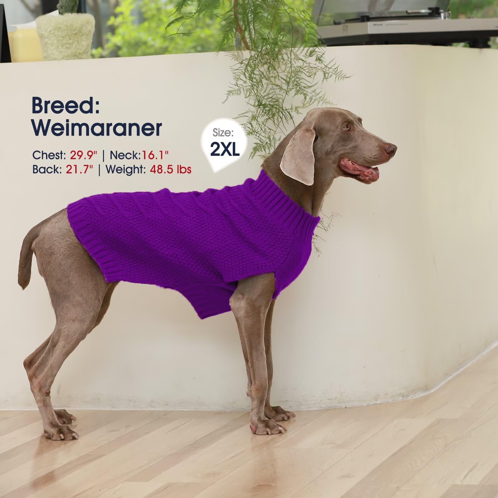 IECOii Maglione extra large per cani, XXXL maglione per cani di taglia grande per ragazze e ragazzi, abbigliamento natalizio per cani, abbigliamento per vacanze per cani, maglione caldo per animali