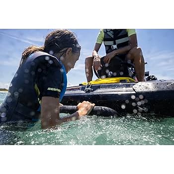 「DREAM」 Reboarding Step Ladder, Boarding Ladder Step 295100869