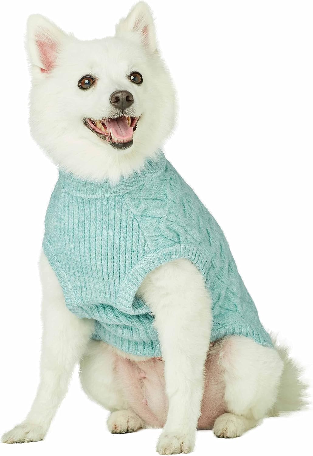 Blueberry Pet 2023 New Classic Fuzzy Textured Knit Pullover Crew-Neck Dog Sweater in Heathered Jade, Back Length 18", Pack of 1 Clothes for Dogs