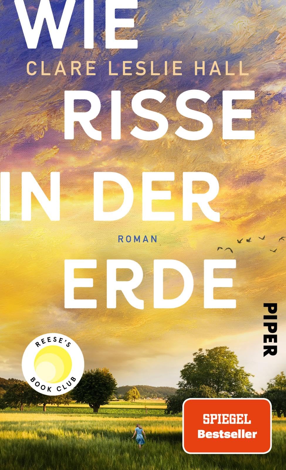 Wie Risse in der Erde: Roman | 'Ein Buch, das man vielleicht nie in seinem Leben wieder vergisst.' Deutschlandfunk Kultur