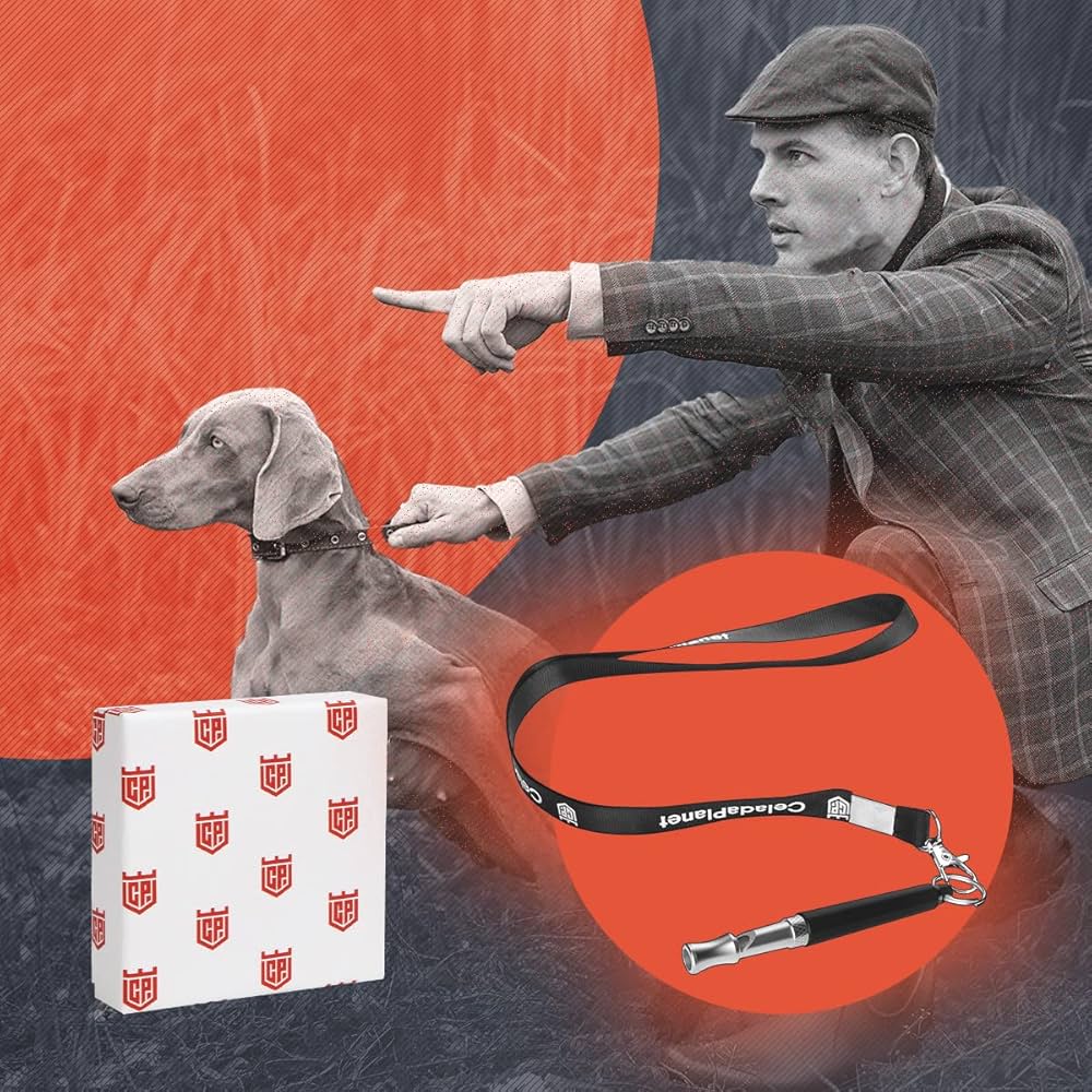 Electronic Dog Whistle GYY 2 Pack Dog Whistle To Stop Barking Professional Adjustable Ultrasonic Dog Training Whistle Other Silencer MAX Dog Whistle To Scare Dogs Away