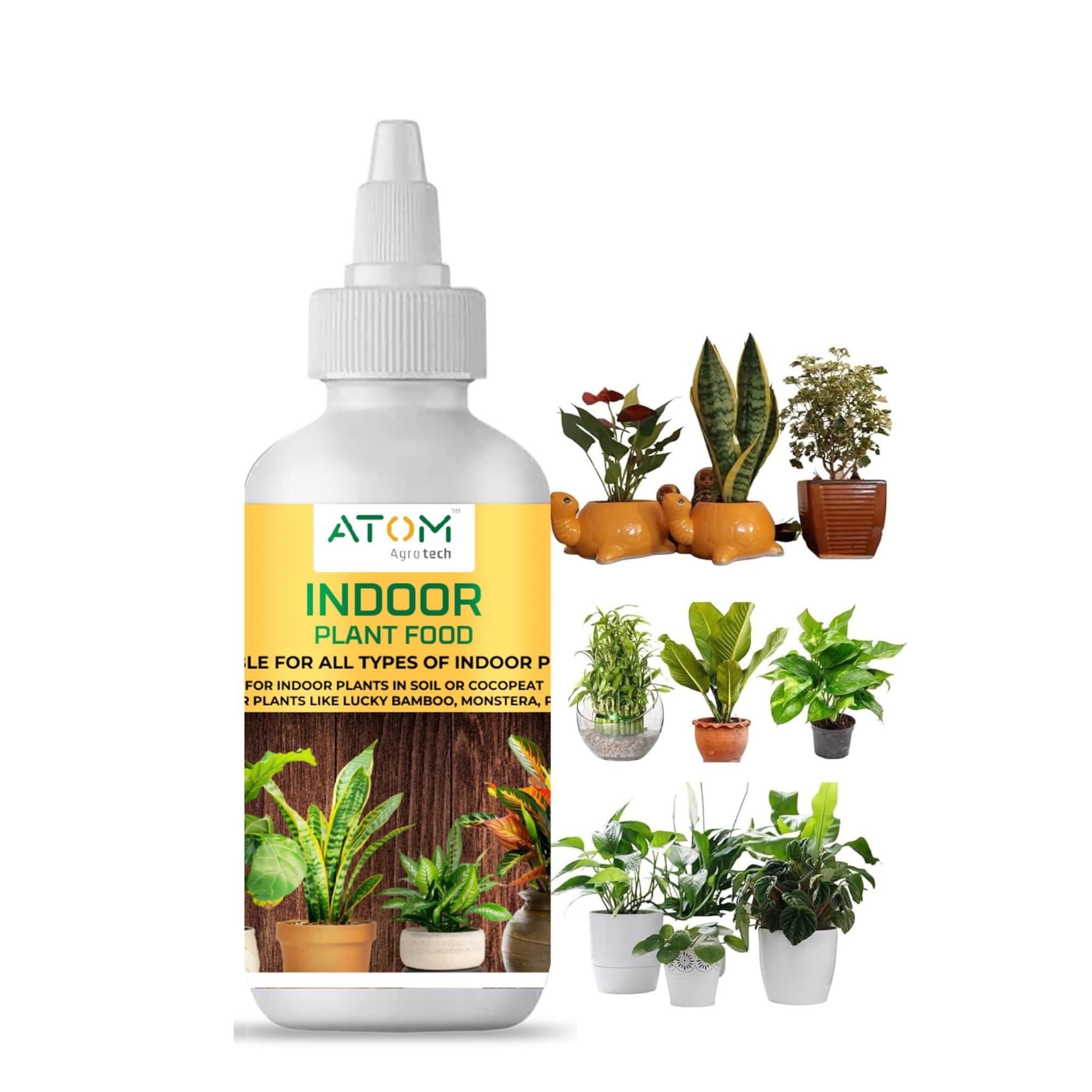 Indoor Plant Food - Liquid Food for Indoor Plants Like Lucky Bamboo, Monstera, Pothos, Money Plant etc. | Each 50 ml (Pack Of 1)-image-22