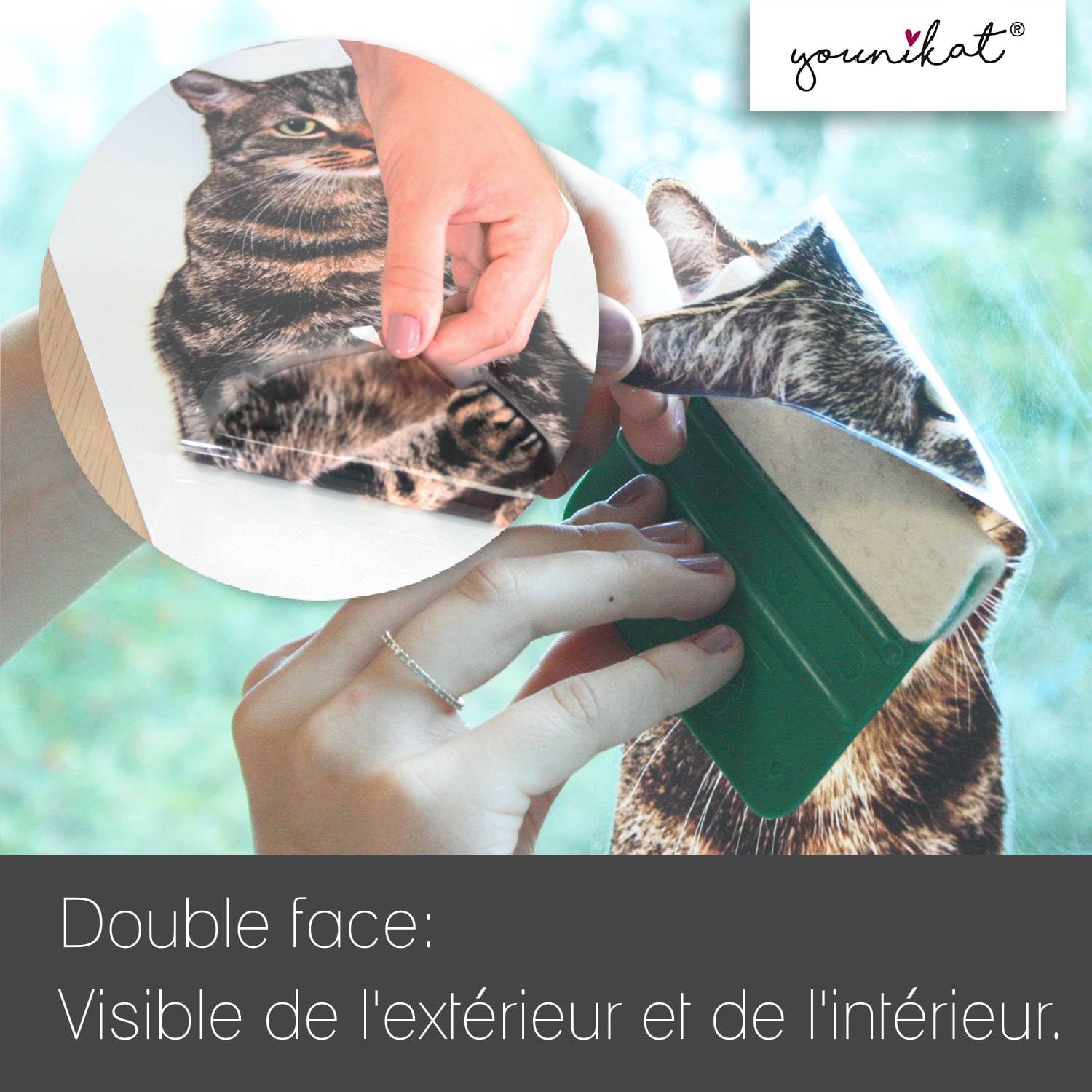 Lot De 2 Stickers Fenêtre Bébé Chat Réaliste - Protection Oiseaux - Autocollant Statique Double Face Amovible