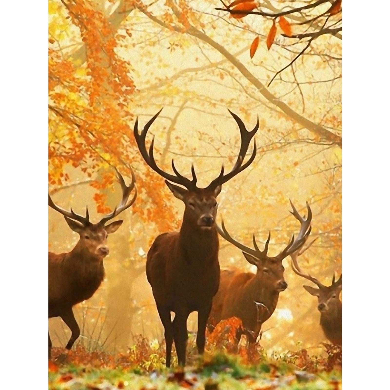 Ginfonr 5D DIY Diamond Painting Grassland Animals by Number Kits Full Drill for Adults, Autumn Leaves Elk Paint with Diamonds Art Space Rhinestone Cross Stitch Craft Decor (12x16inch)