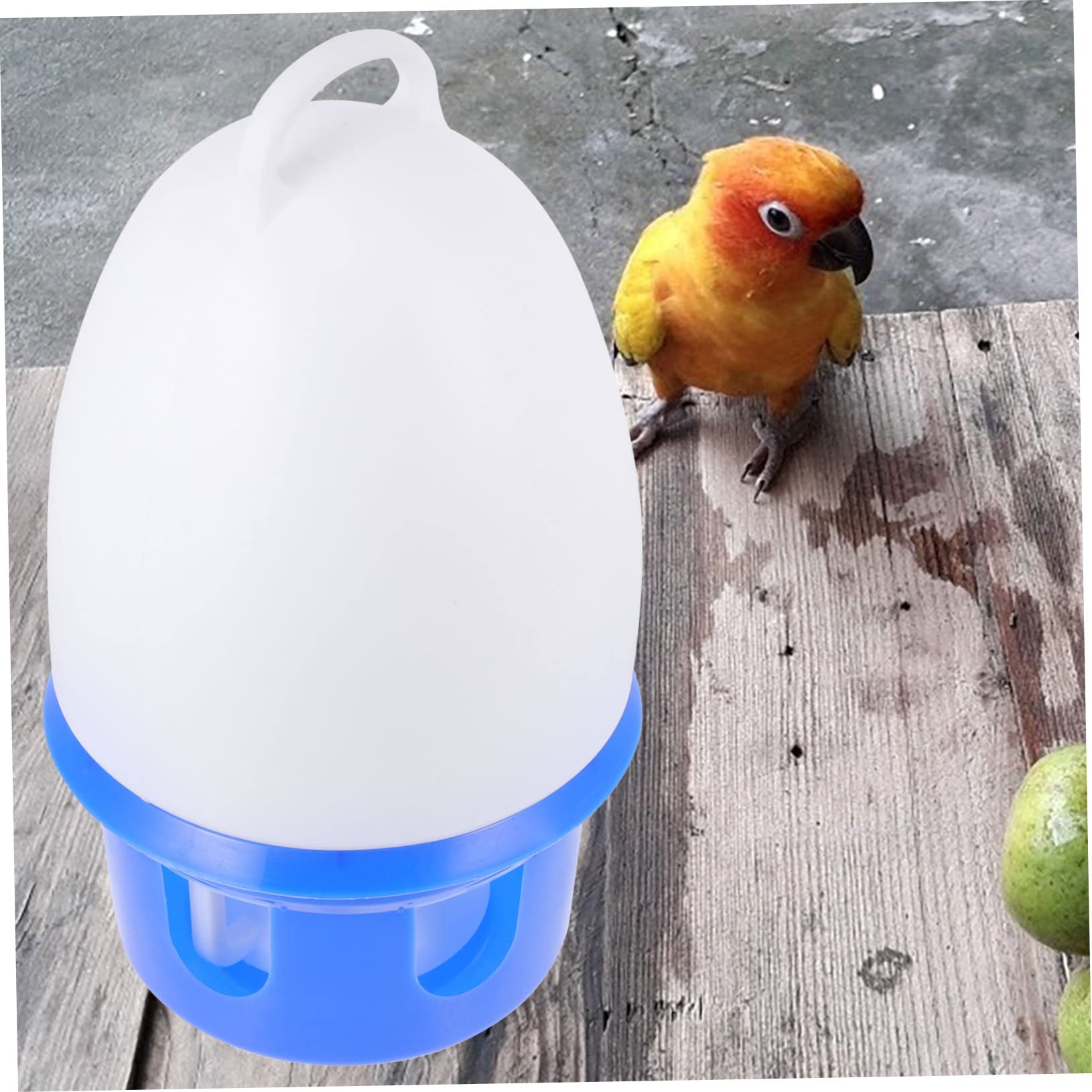 Abreuvoir pour Pigeons Rond Bleu en PVC, Modèle Détachable