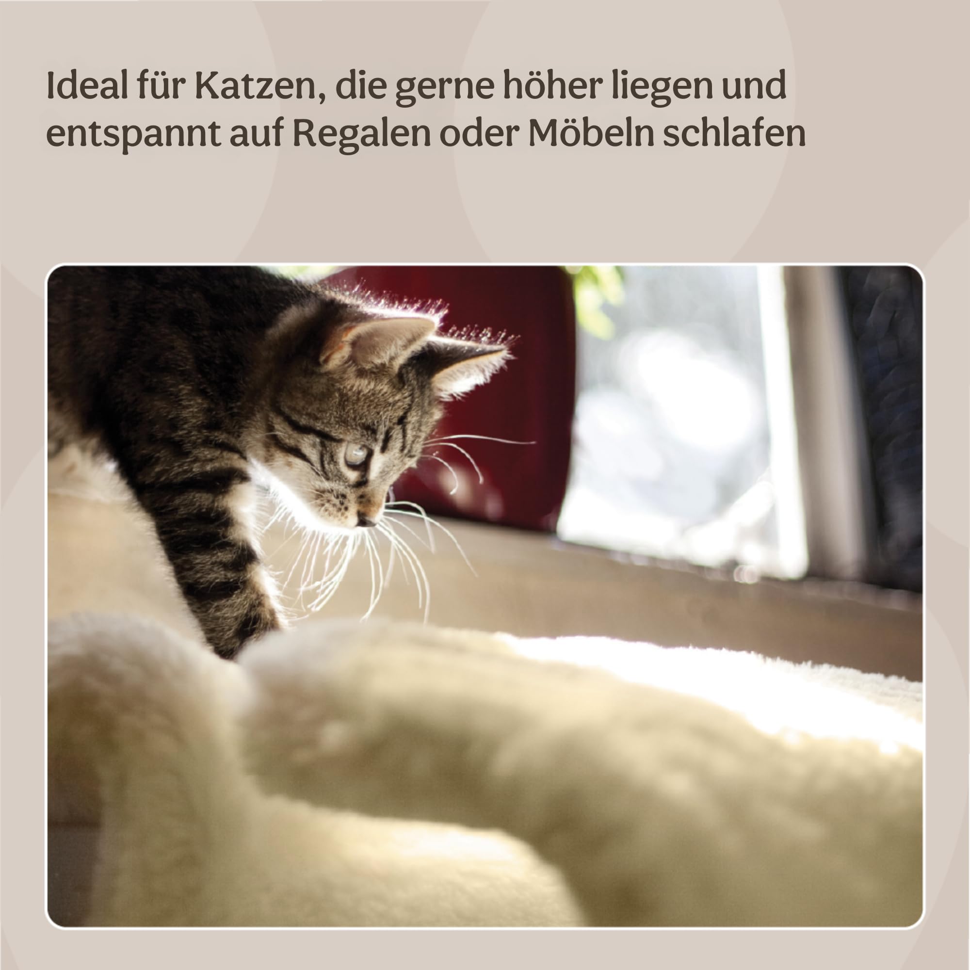 Rosewood Katzenbett für Heizkörper 48 x 27 x 40 cm Flauschige Katzenhöhle und Katzenkorb mit Waschbarem Bezug Stabilem Metallrahmen und Weichem Kunstfell Creme