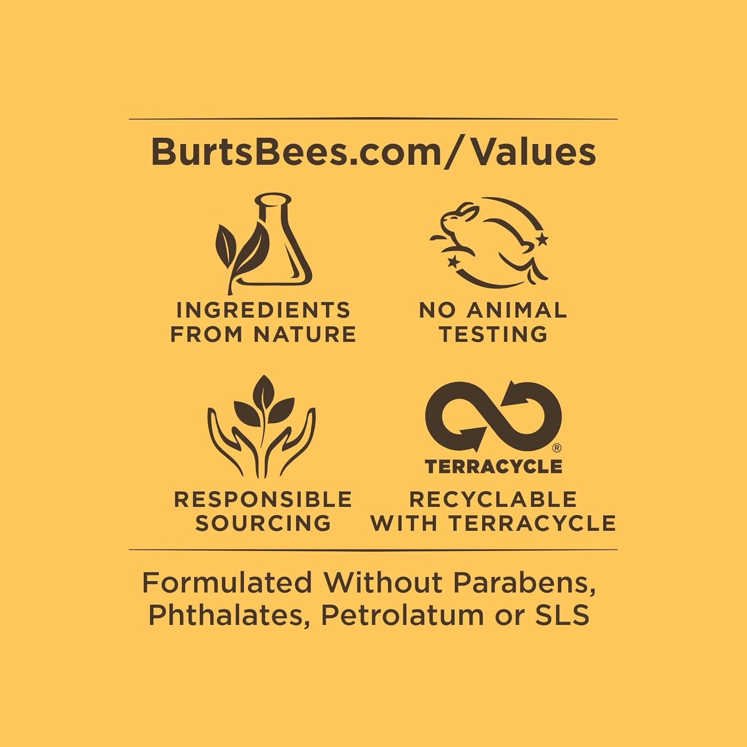 BURTS BEES Illuminating Face Primer, 28.3 GR : Beauty & Personal Care