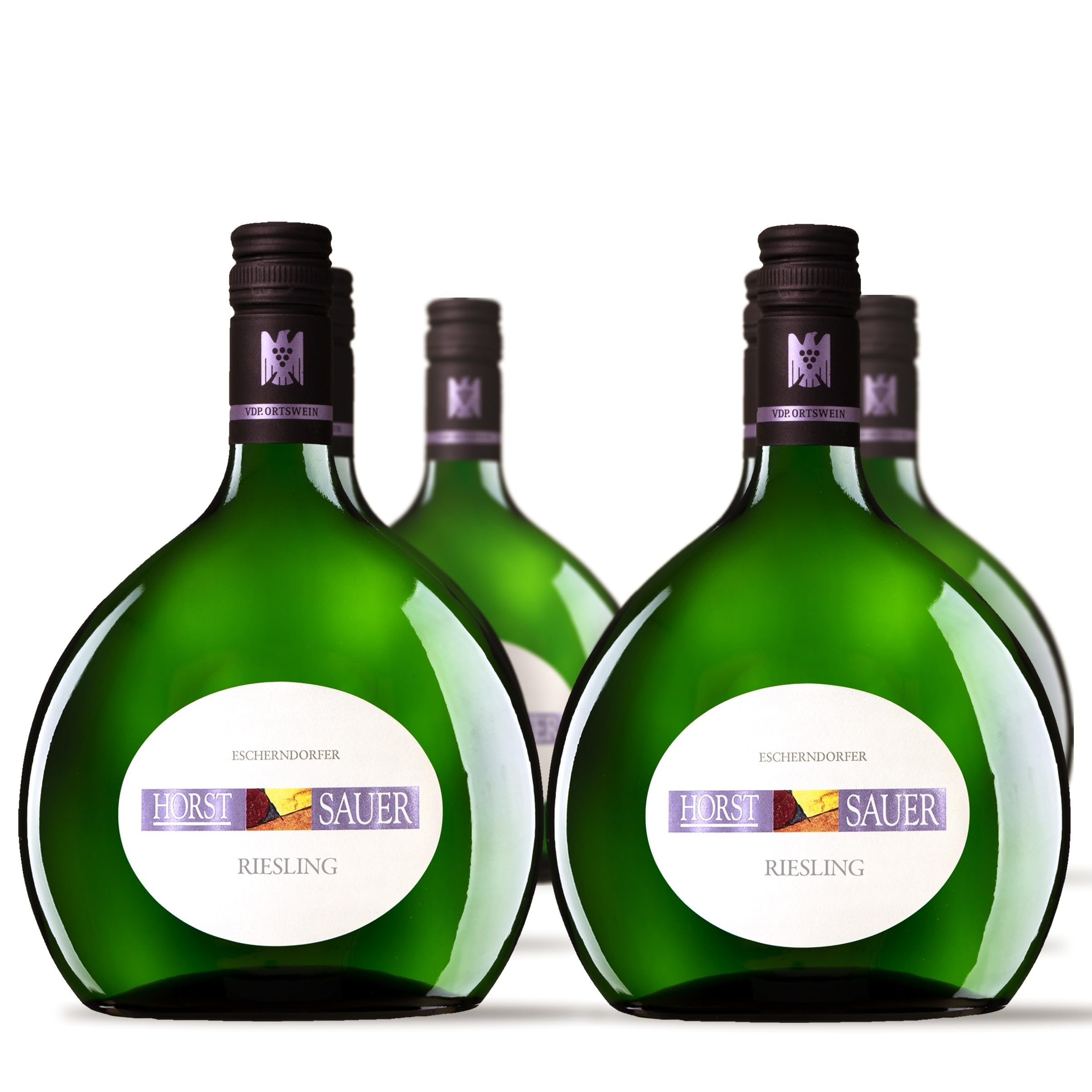 Horst Sauer 2024 Escherndorfer Riesling trocken (6 x 0,75 l) inkl. weine.de-DropStop