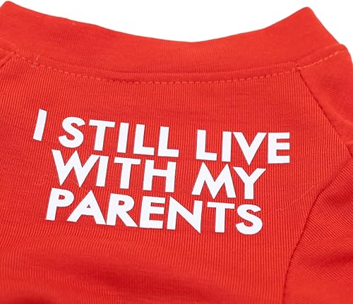 Miniatura 8 de Camisa para perro de bulldog francés para mascotas, camisetas para cachorros, camiseta de gato, transpirable, elástica, disfraces, talla M