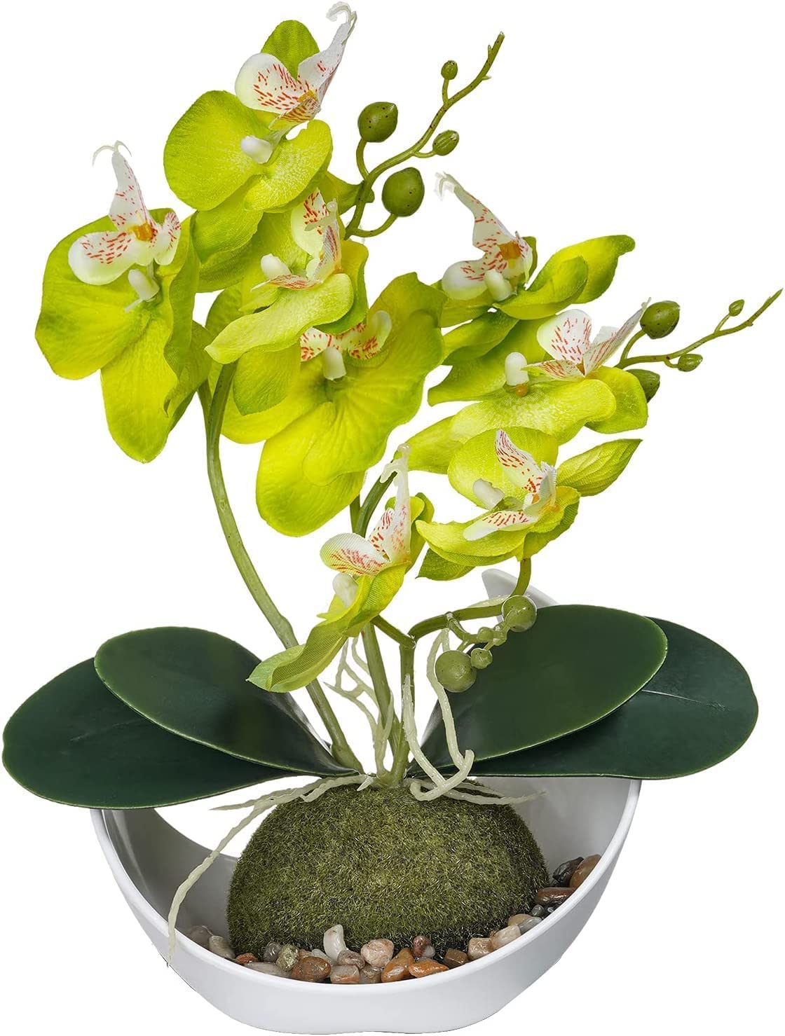 MYUYEE Artificial Orchid Silk Artificial Flower With Resin Vase Artificial Phalaenopsis Flowers Fake Floral 24.8 In Potted Faux Artificial Flowers