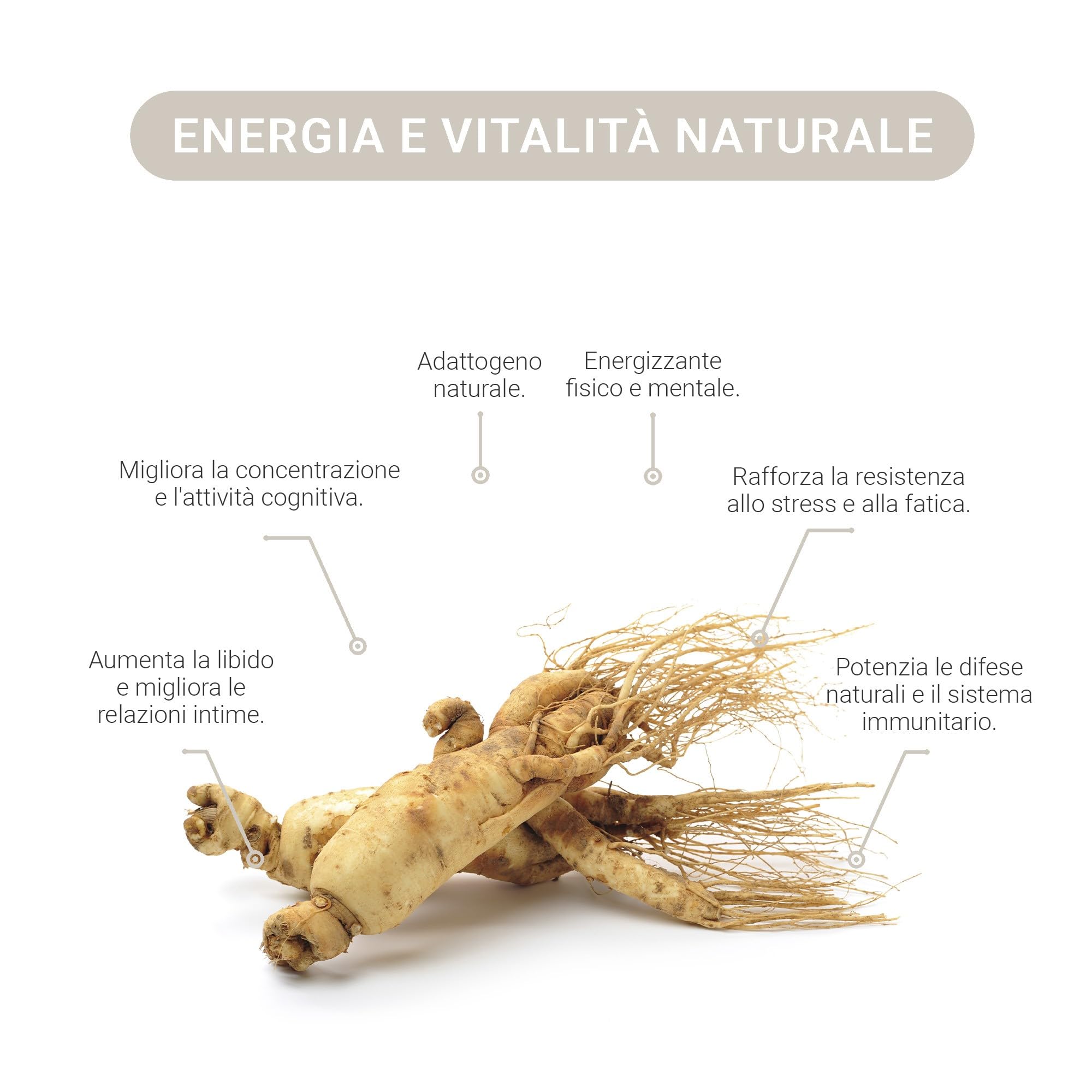 GINSENG BIO * 200 mg / 90 capsule * Titolato al 15% di ginsenosidi totali * Cardiovascolare, Energia, Equilibrio emozionale, Vitalità
