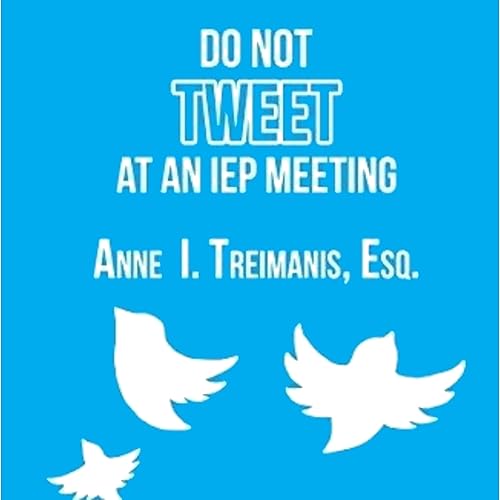 Do Not Tweet at an IEP Meeting: And Other Tips and Strategies to Negotiate Special Education Services