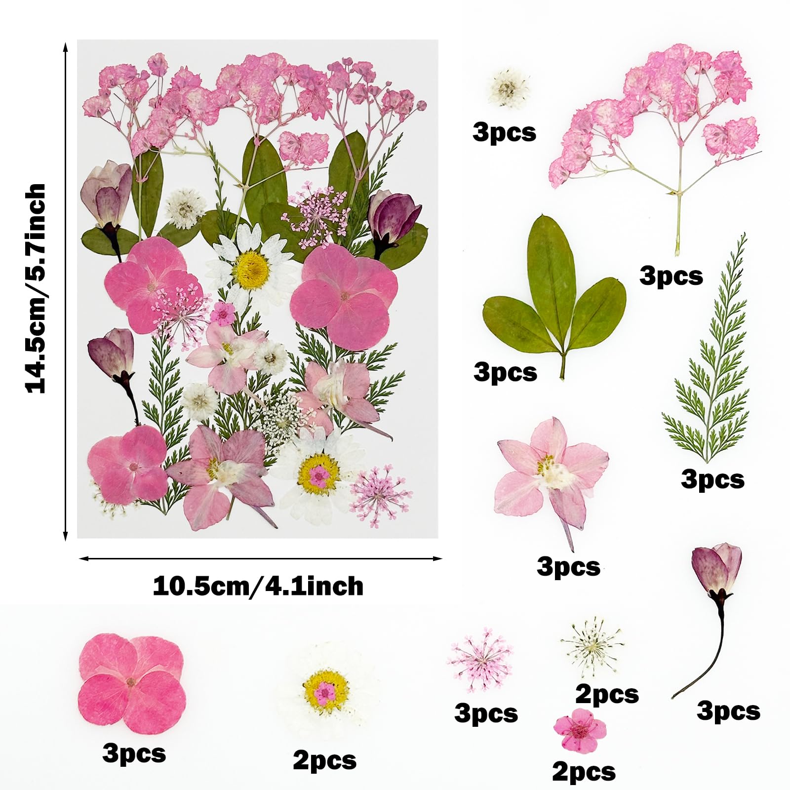 Cayway 40 PCS Natural Dried Pressed Flowers, Pink Natural Dried Pressed Leaves - Image 2