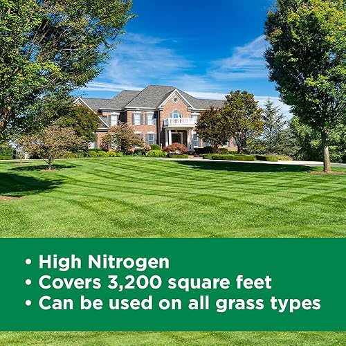 Miniatura 8 de Máximo verde y crecimiento alto nitrógeno 28-0-0 NPK, fertilizante líquido de calidad de alimentos para césped, primavera y verano, cualquier tipo