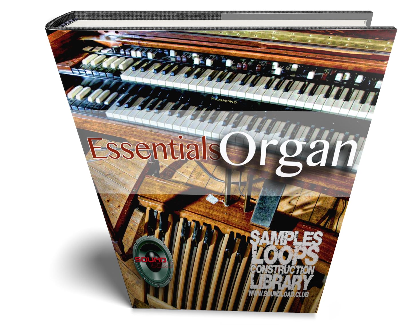 BAND Essentials MEGA Bundle - 7 grands échantillons d'ondes essentielles/bibliothèques de studio en boucle
