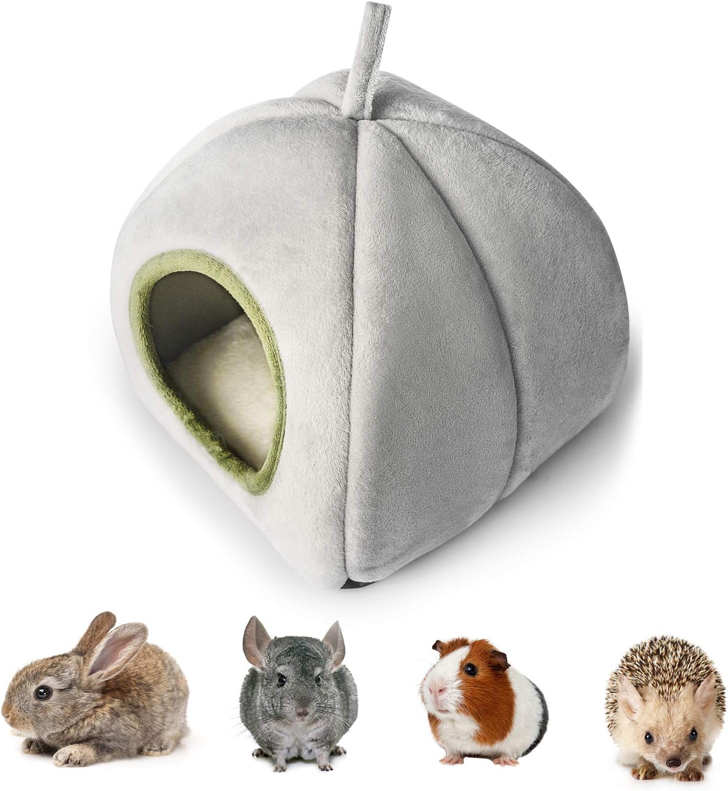 Guinea Pig Bed, Guinea Pig House For Guinea Pigs, Syrian Hamsters ...