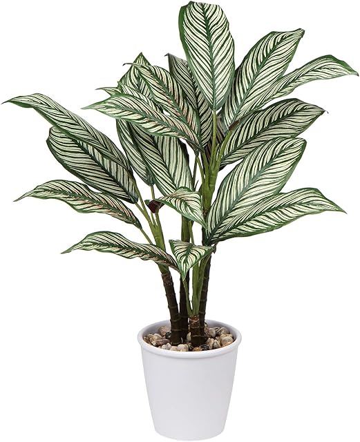 63cm Tall Artificial Plant Calatheas Orbifolia Large Tropical Fake Plants in Pots Decorative Faux Plants Ornata Sanderiana for Home Living Room Office Balcony Hotel Indoor Outdoor Decoration