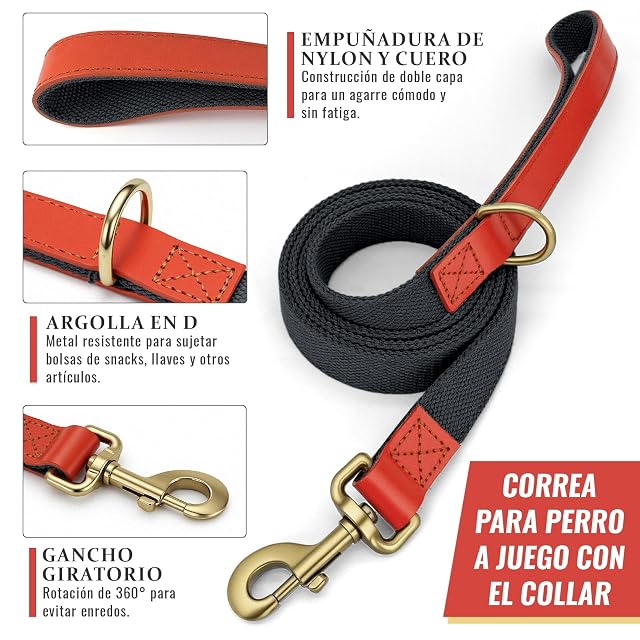 Foto 3 de 6 de Set de Collar y Correa 152cm para Perros XL (43-66cm) Nailon (Azul-Negro)