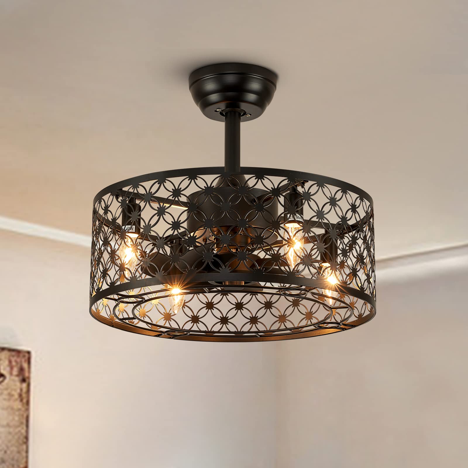 MOOONICHE Caged Ceiling Fan with Lights, Modern Enclosed Ceiling Fan