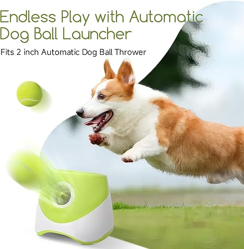 Miniatura 5 de susu & wuwu Paquete de 12 mini pelotas de tenis para perros pequeños, pelotas de tenis pequeñas de 2 pulgadas para perros interactivos para jugar a