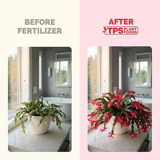 Fertilizante Líquido para Cactus de Navidad - 8 oz miniatura 3