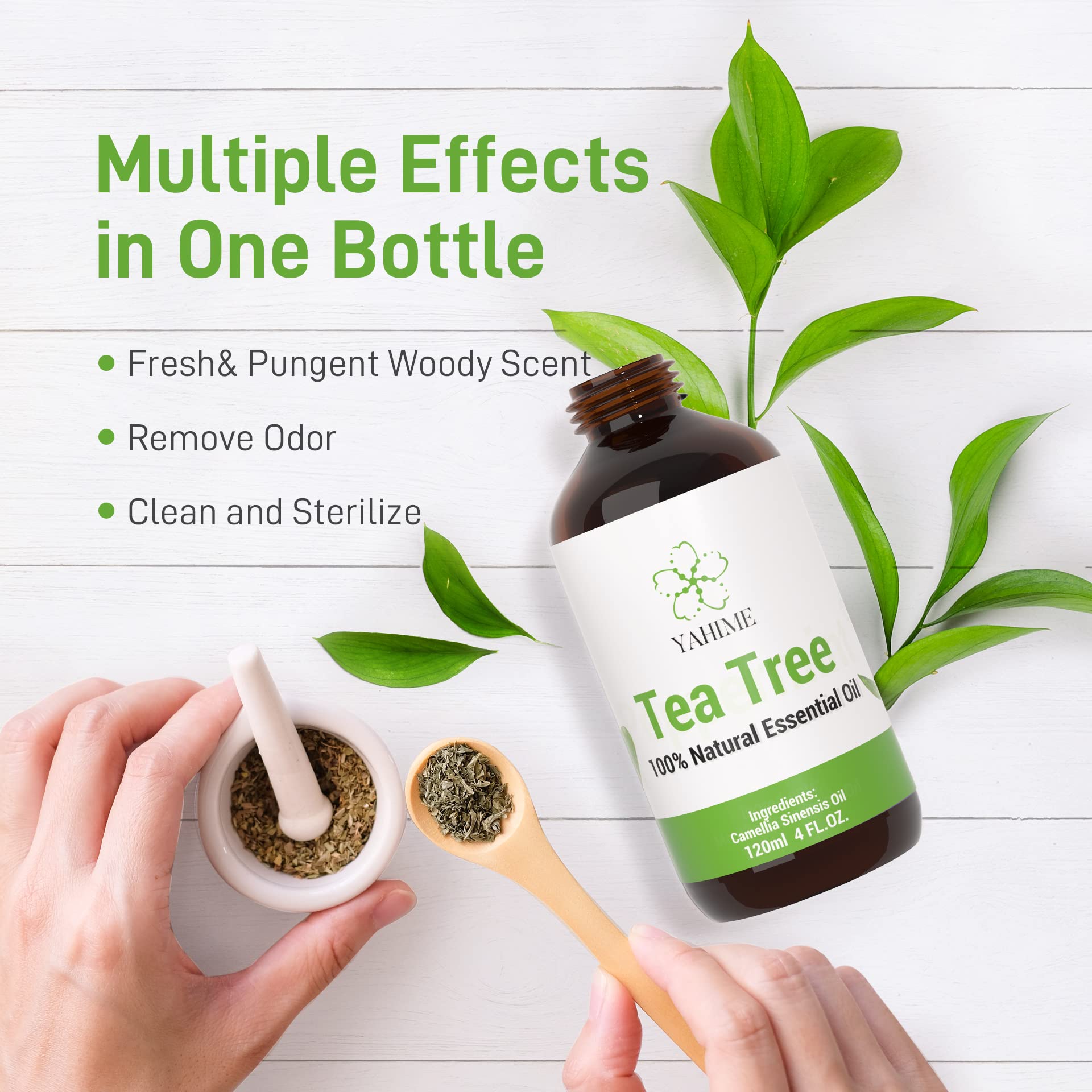 Amazon.com: ASAKUKI Tea Tree Essential Oil, Premium Quality
