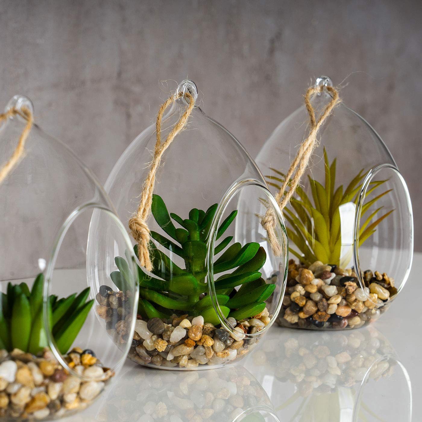 Levandeo Set Di 4 Lampadine LED In Vetro Con Piante Grasse - Verde E Viola - 8x19 Cm