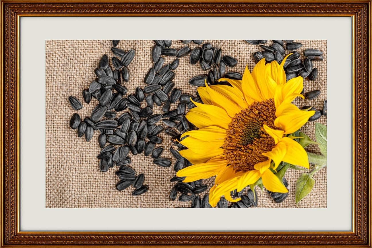 JVERF - JZZG29109 Sunflowers Sunflower Seed| Self-Adhesive