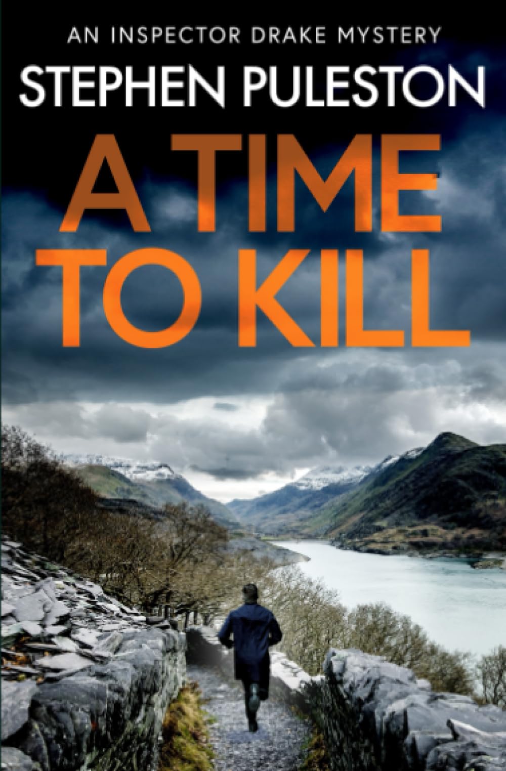 A Time to Kill: Volume 5 (Inspector Drake)