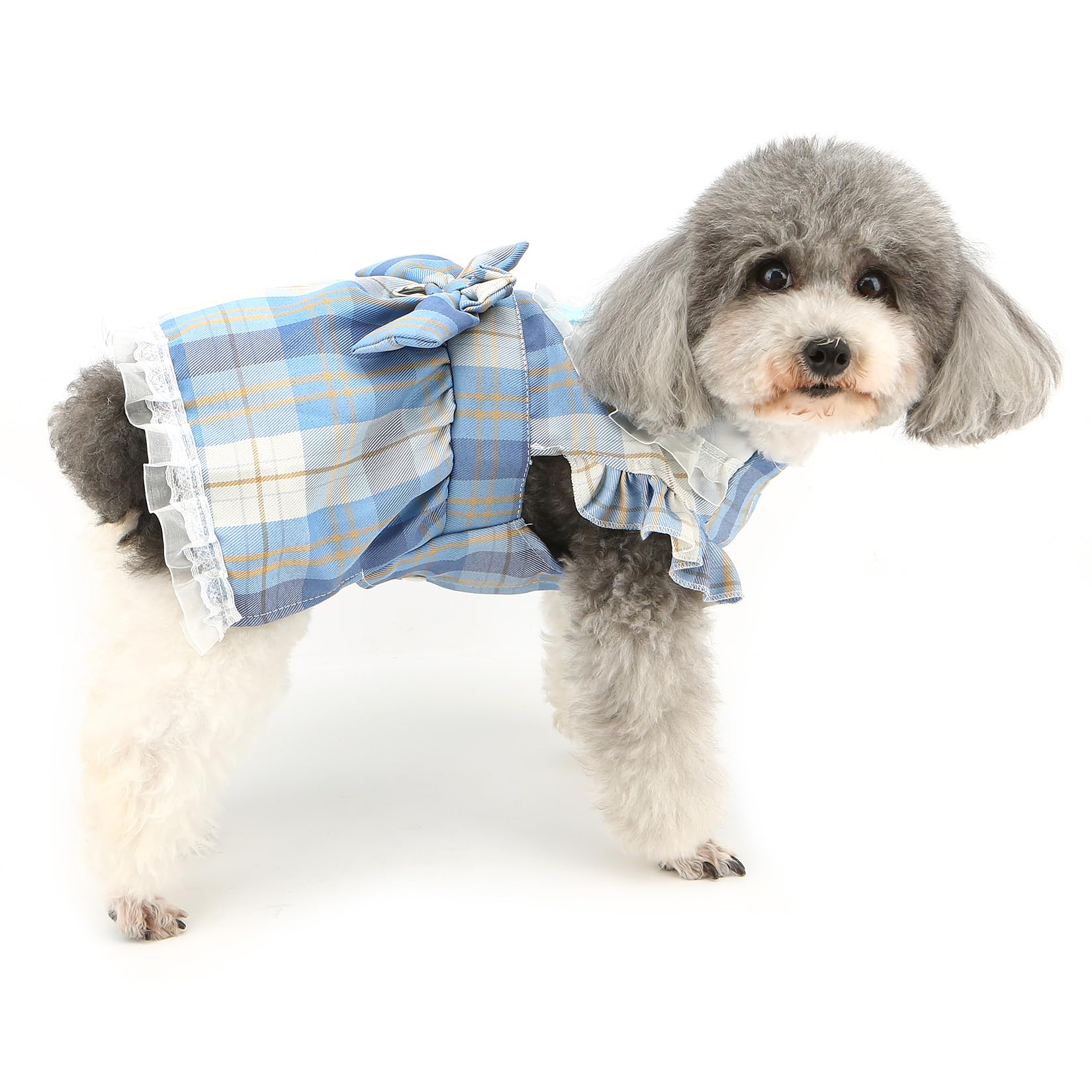 Amazon | RANPHY 犬服 春夏 小型犬 可愛いロリータワンピース チェック