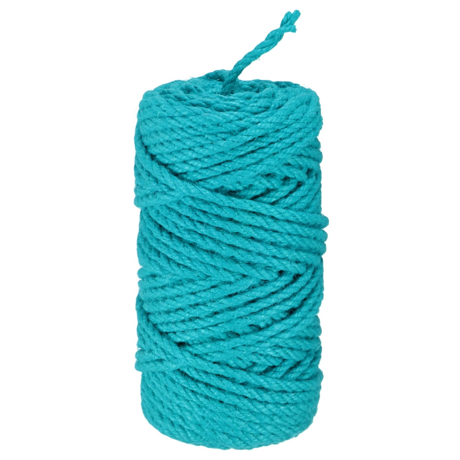 M METERXITY 1-Pack Natural Jute Twine String, 4.5mm x 164ft/50m Long Garden Twine String for Crafts/Gift Wrapping/Gardening Plants, Durable Plant Ties Thick Rope [Lake Blue]