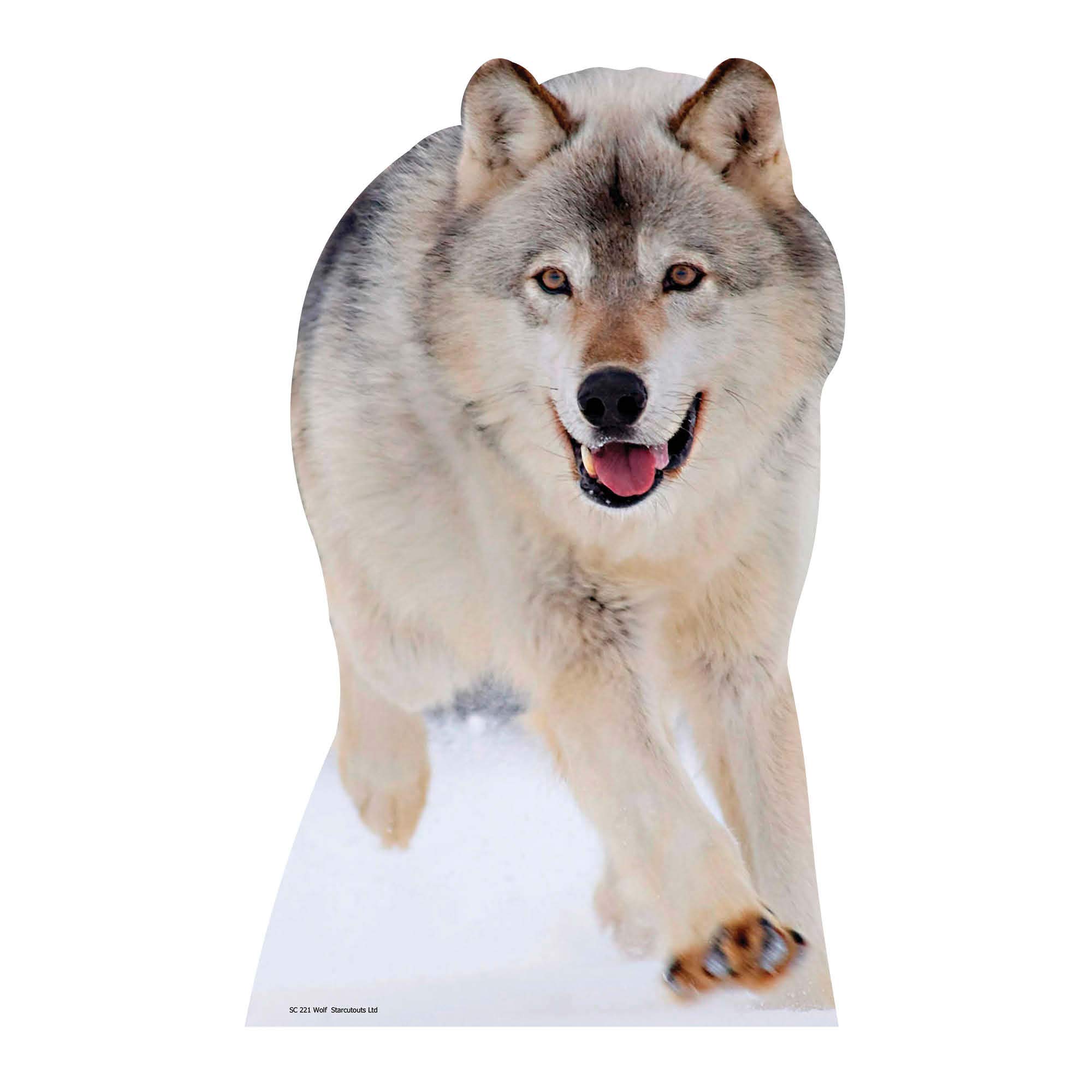 Star Cutouts Cut Out of Wolf