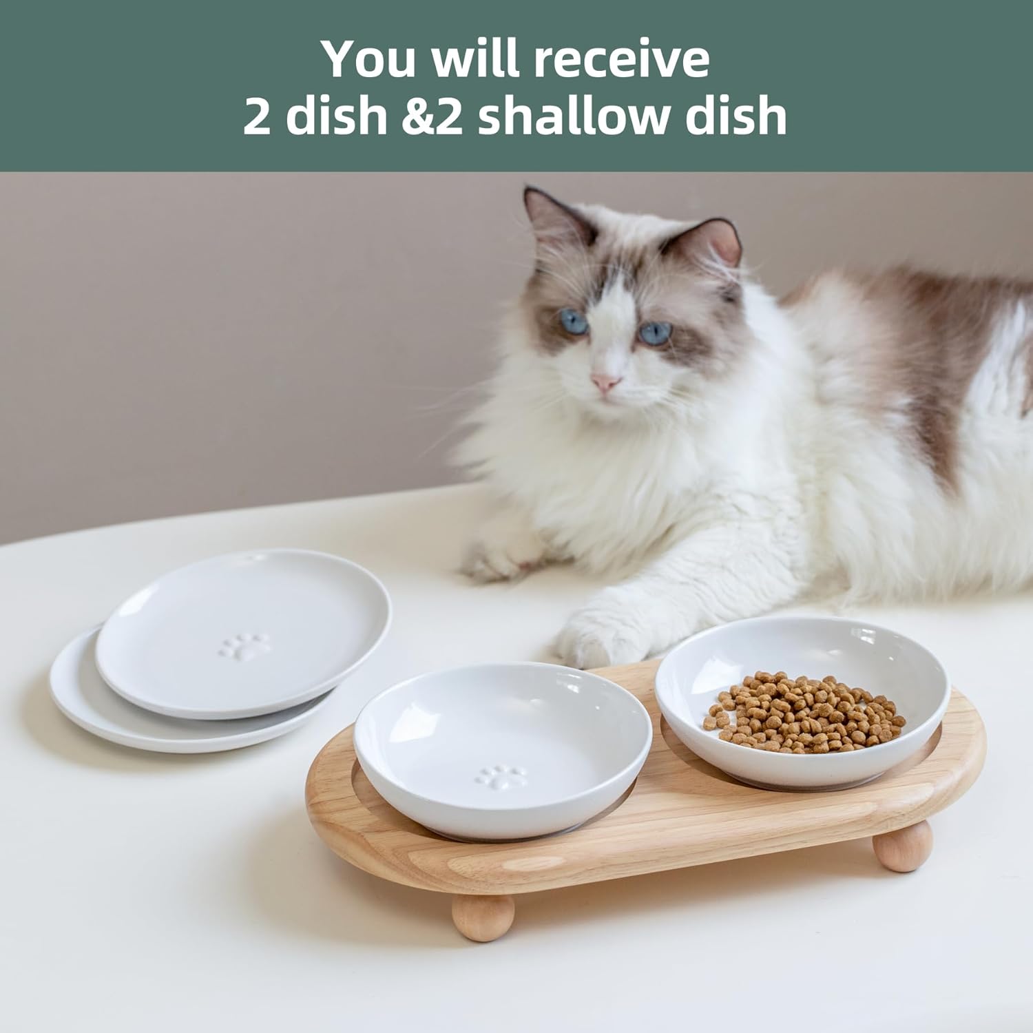 Havniva Raised Ceramic Wide Whisker Friendly Cat Dishes, Food& Water Bowl with 2 Style Stand Adjustable Raised Pet Bowl Set(2Dish+2Shallow Dish+Stand, White