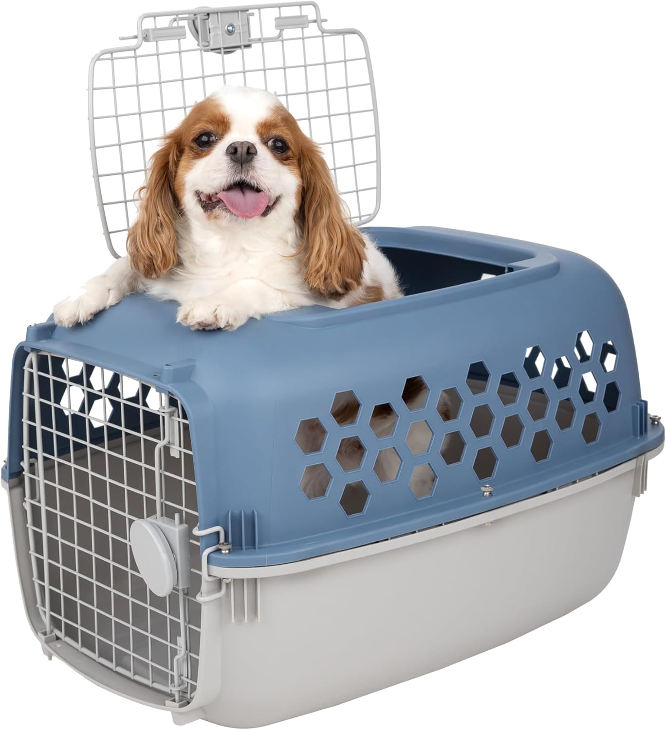 24" Pet Kennel Carrier for Small Dogs & Cats, Portable Travel & Home Use Two-Door (Top/Front Loading) Plastic Crate for 15-25 lbs Pets, Durable Blue